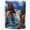 Waterfall Bald Eagle T-Shirt