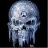 We have a wide variety of skull, dragon, and biker t-shirts.