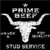 Prime Beef Grade A Stud Service