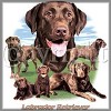 Labrador retriever puppy price