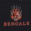 Cincinnati Bengals T-Shirts