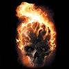 Ghost Rider T-Shirts
