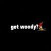 Woody Woodpecker T-Shirts
