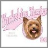 Yorkshire Terrier T-Shirts