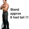 Life Size Chris Jericho Cardboard Cutout
