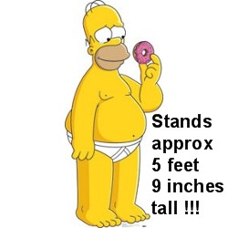 Homer Simpson Cardboard Cutout
