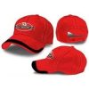 Nascar Dale Earnhardt Junior Hat