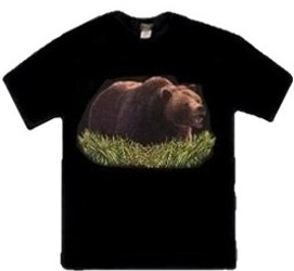 Big Grizzly Bear walking in grass tees
