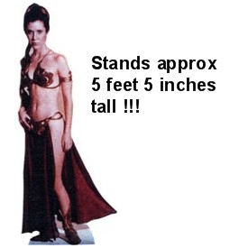 Life Size Star Wars Princess Lei Cardboard Standup