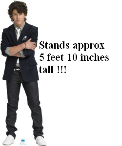 Nick Jonas Cardboard Stand Up