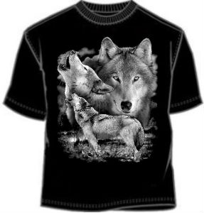 Three Wolf Stare