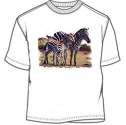 Zebra Herd T-Shirt